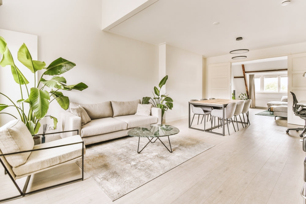 Home & Kitchen